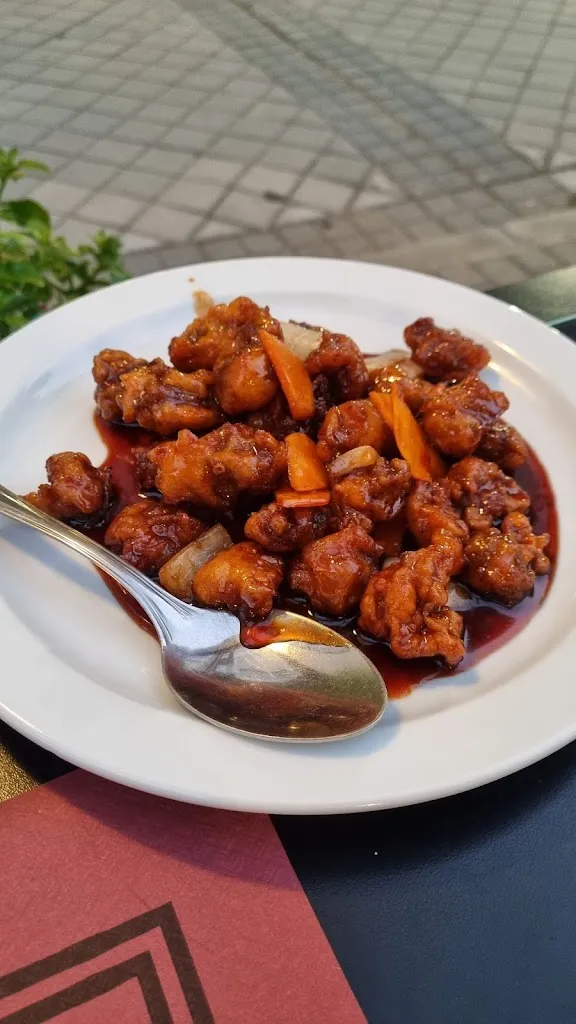 Menu_Wok Arcentales_Artzentales_immagine_4