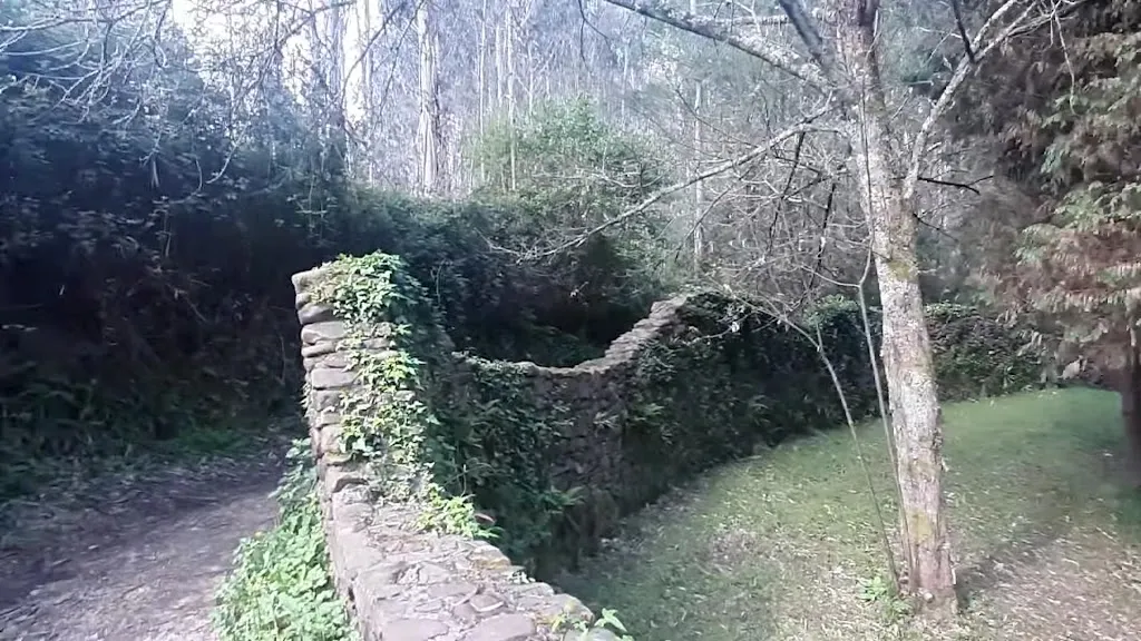 Iruzubi txiringitoa_Aulesti_slider_image_2