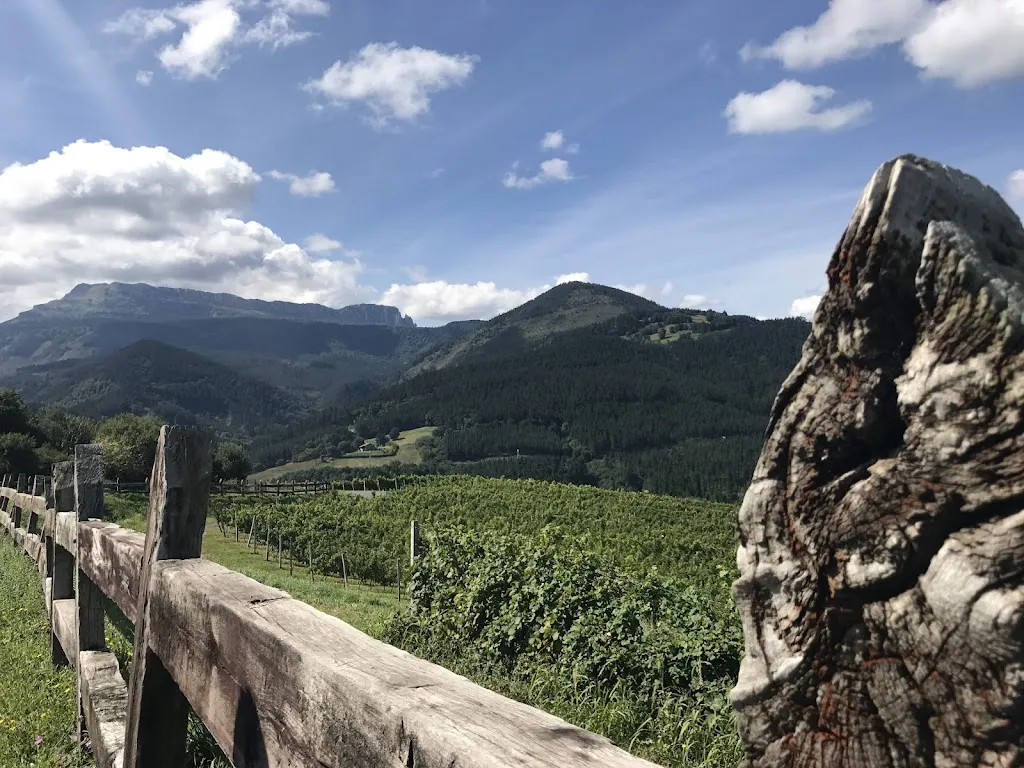 David Vilum_Axpe Goikoa Erretegia_Atxondo_review