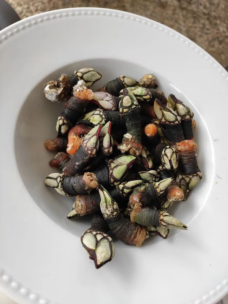 Menu_Ipar Itxaso II itsaskitegia_Barrika_image_8