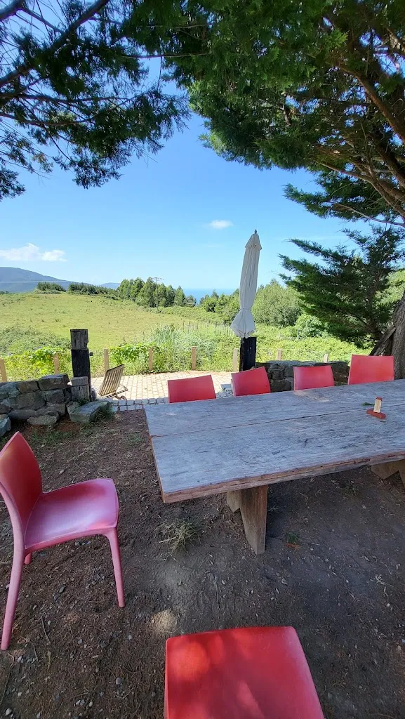 Bar 01 restaurant in Bakio