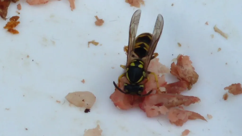 A Marola_Pontedeume_slider_image_2