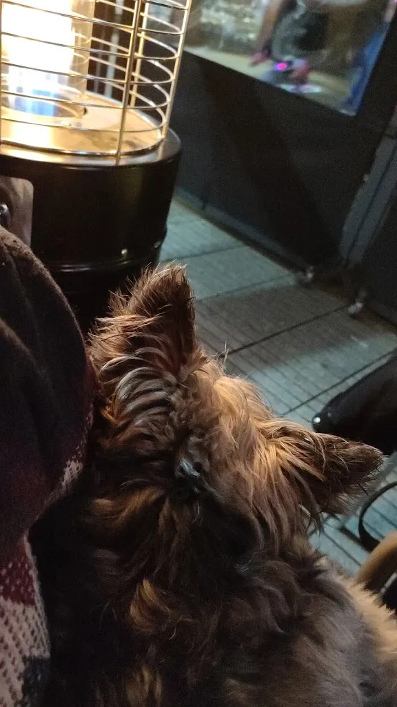 Ander Agirregabiria_TABERNA AMETS AMOREBIETA_Amorebieta-Etxano_recensione