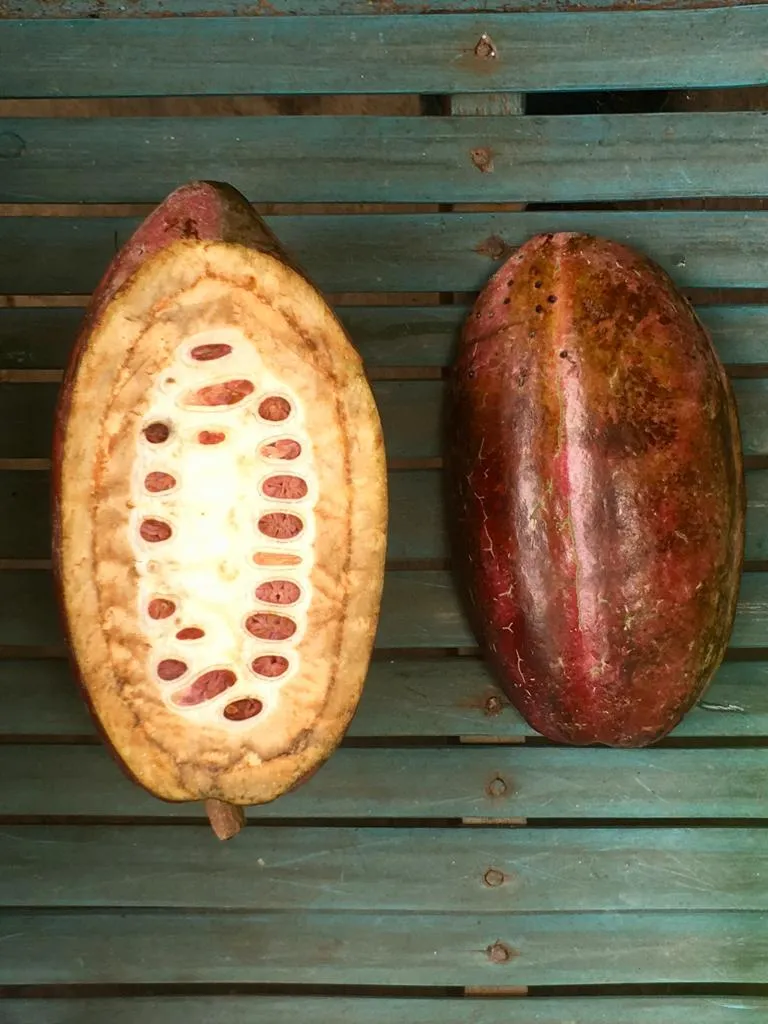 Menu_Kaitxo _Balmaseda_immagine_5