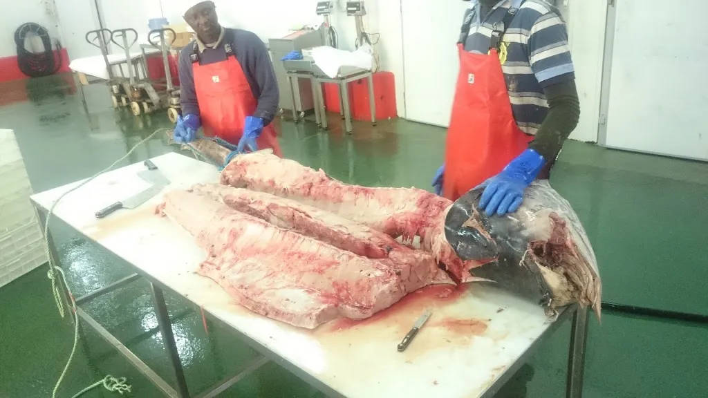 Menu_Gardotza Taberna_Berriatua_image_3