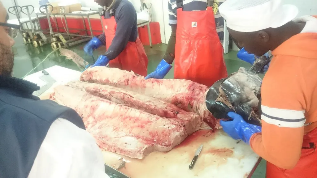 Gardotza Taberna restaurant in Berriatua