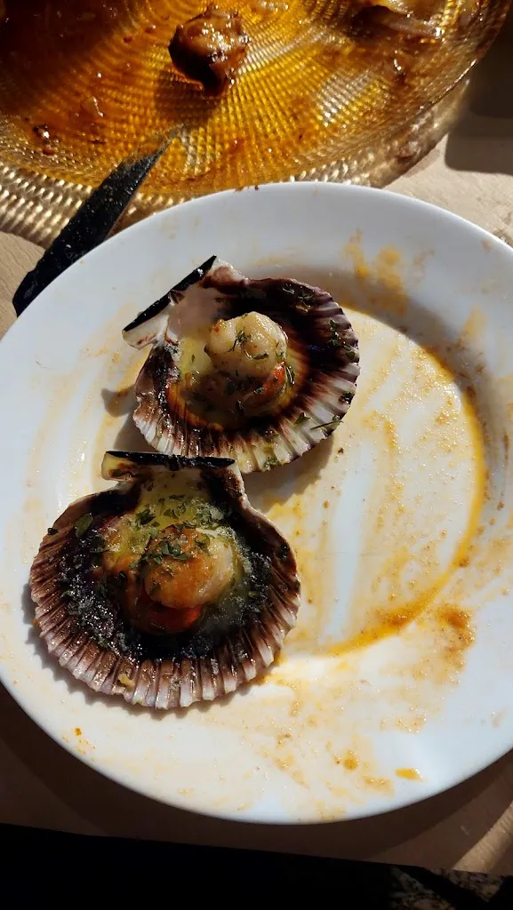 Eveling_Sans Serif_Barakaldo_review