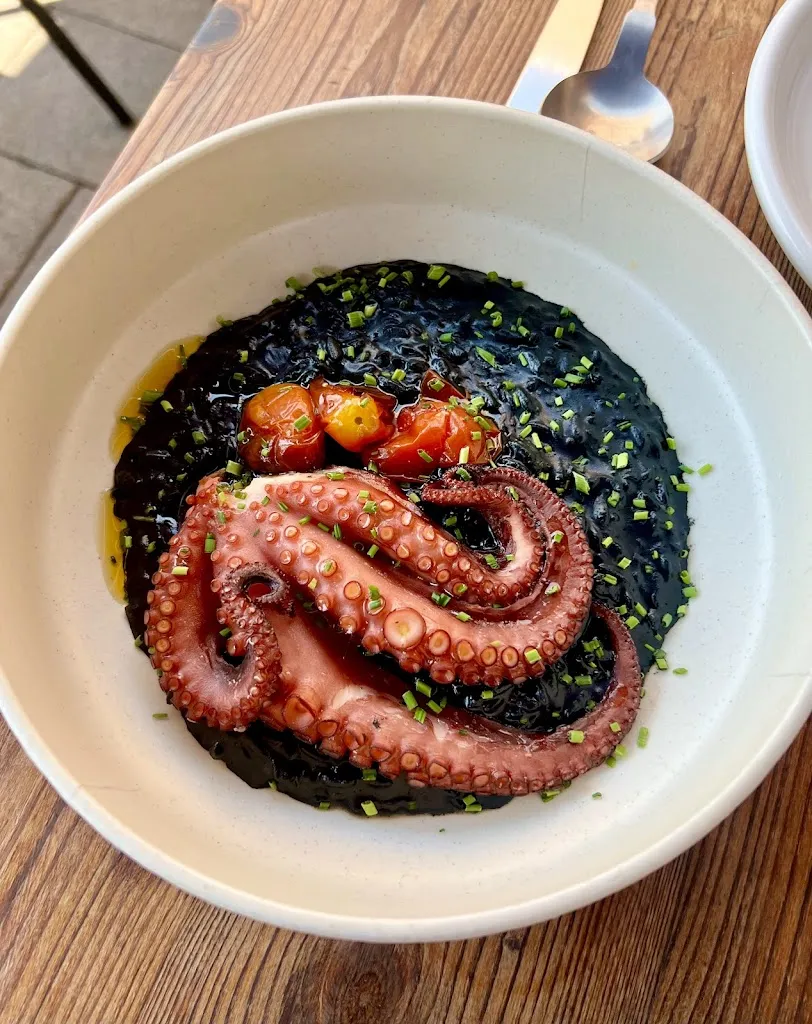 Hyun-woo Jo_Terra Nova_Ribeira_review