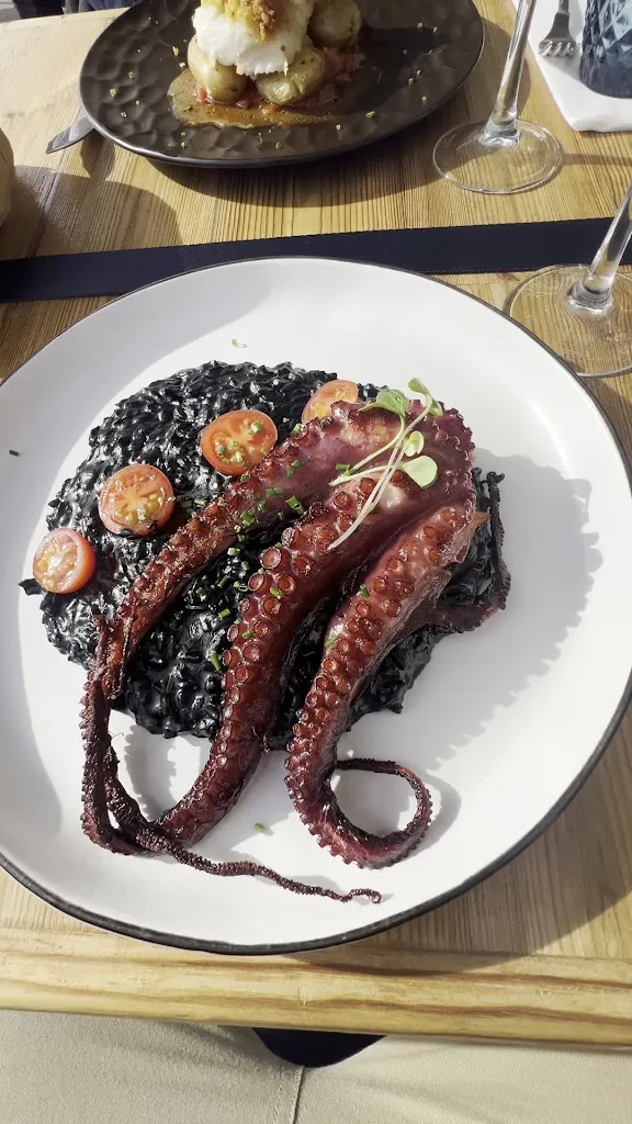 Terra Nova_Ribeira_slider_image_2