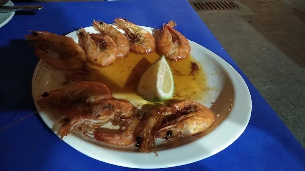 Aurora González-Vidal_Bar Lamera_Bermeo_review