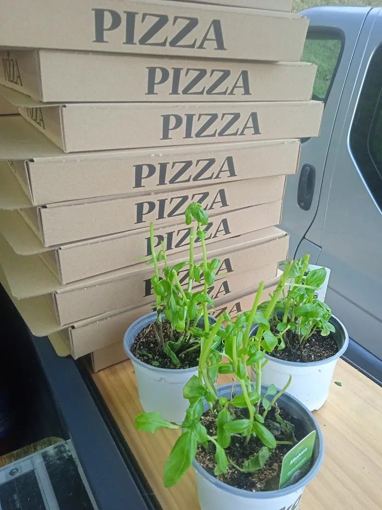 Sarai Ruiz Maestre_Delicias El Guachin_Elantxobe_review