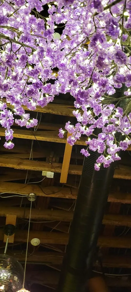 Maegan_Derailed Pour House_Durango_review