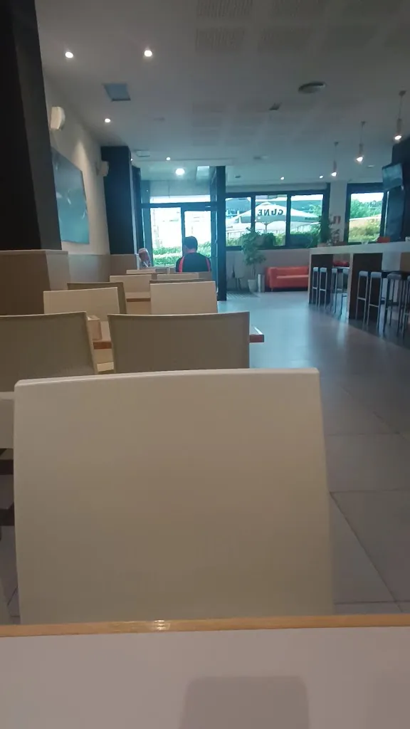 J. Sor_GUNE Derio_Derio_review