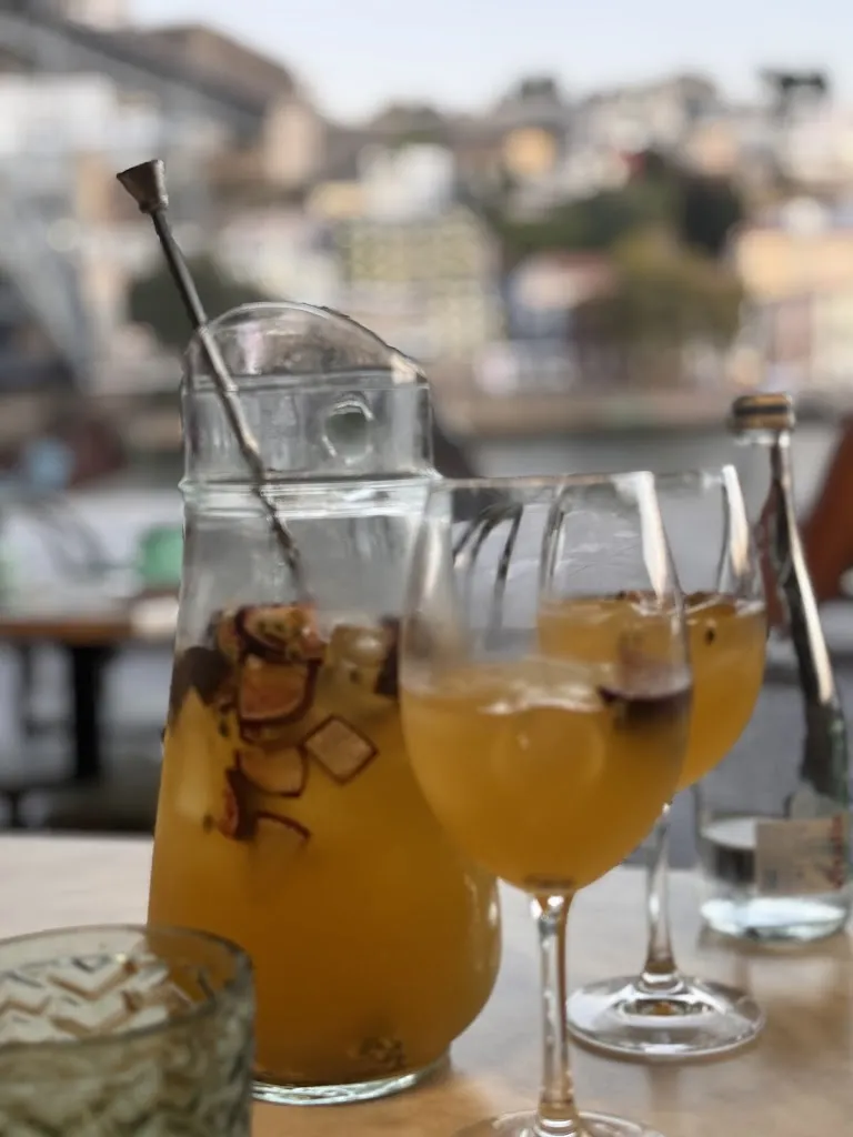 Georgia Maguire_Fiume Douro_Ribeira_review