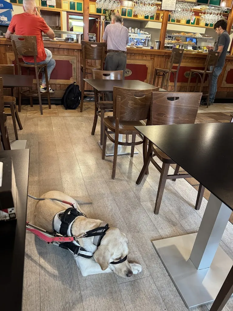 AliblueBox_Bar restaurante Station Wagon berria_Galdakao_Bewertung