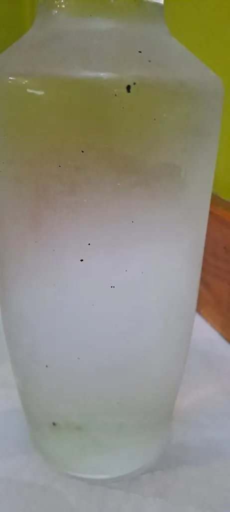 Johan Cruyf_Restaurante Urkaregi_Ermua_review