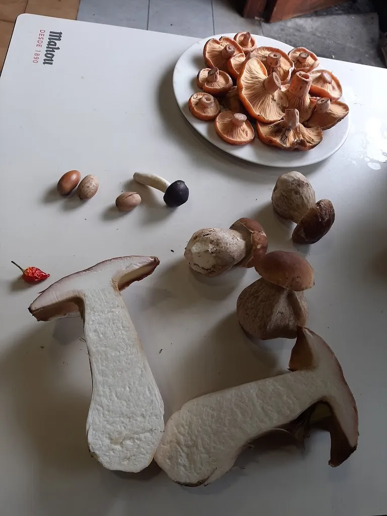 Menu_Areitz bi taberna jatetxea - Ispaster_Ispaster_immagine_5