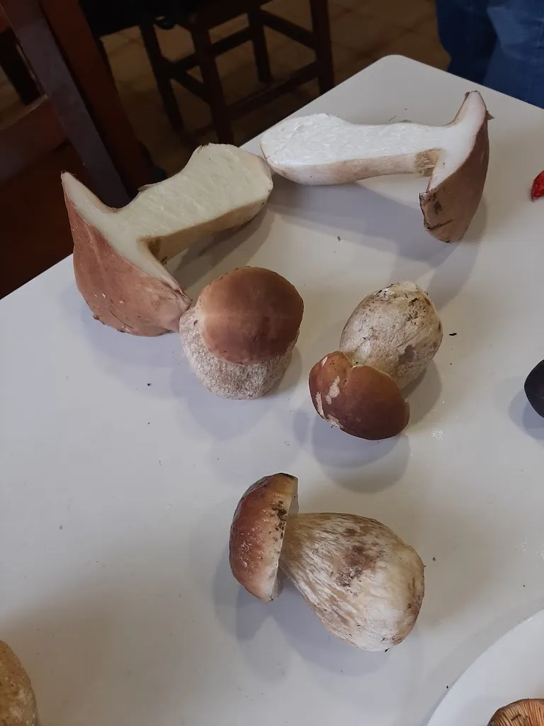 Menu_Areitz bi taberna jatetxea - Ispaster_Ispaster_immagine_6