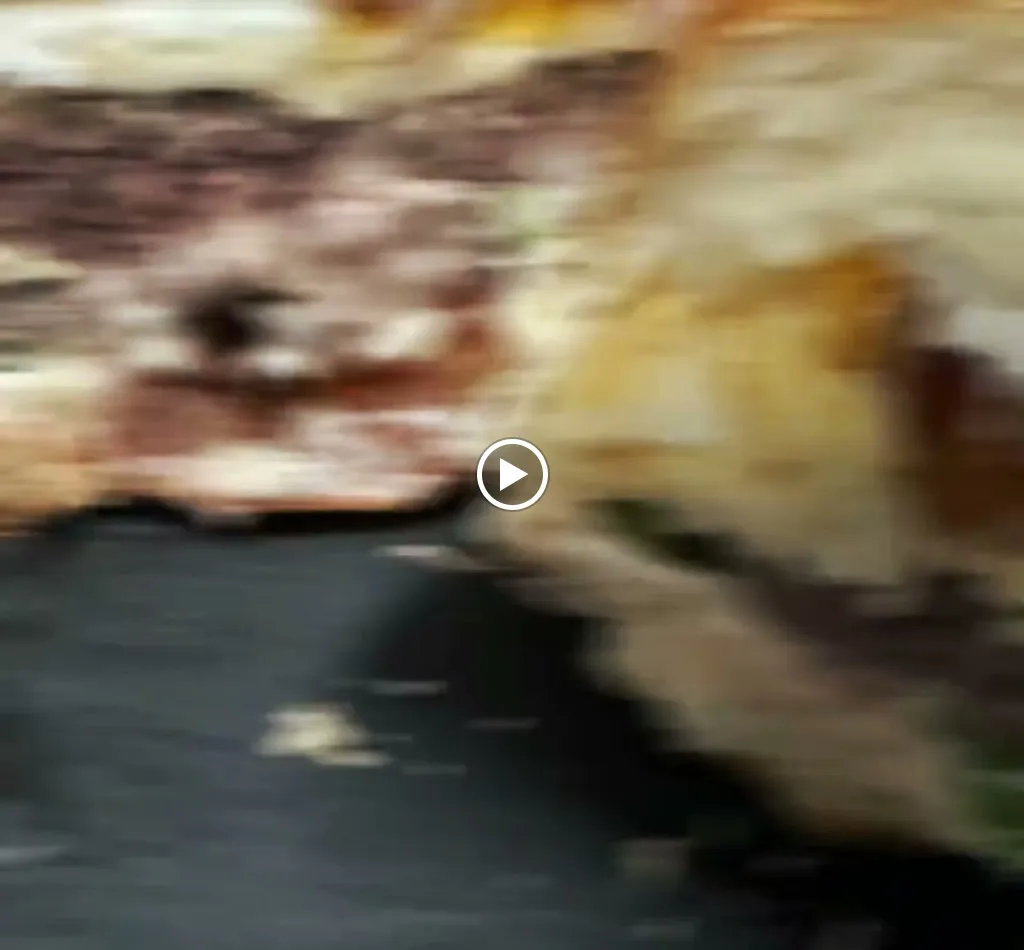 Bar Eguzki_Igorre_slider_image_2