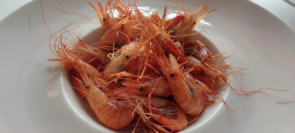 Menu_Hondartzape_Gorliz_image_5