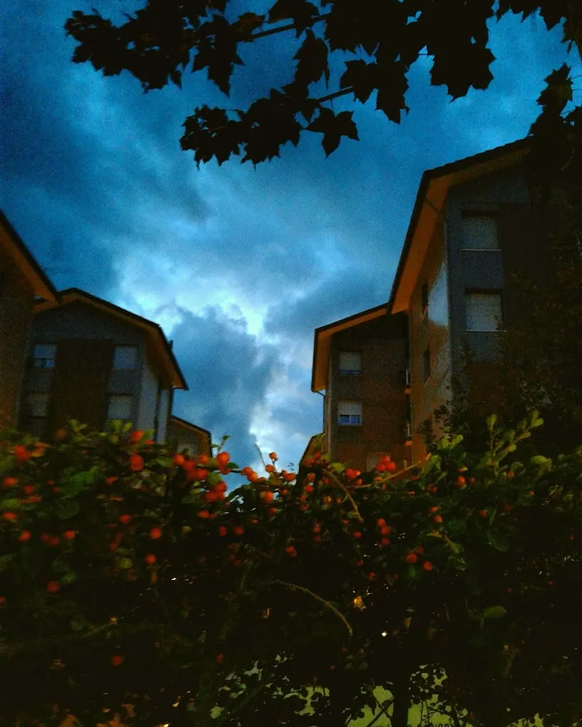 M C_Zallo Barri Jatetxea_Gernika-Lumo_review