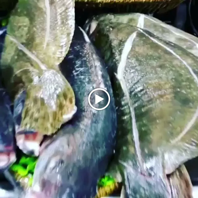 1000 Kolorau_Gernika-Lumo_slider_image_2