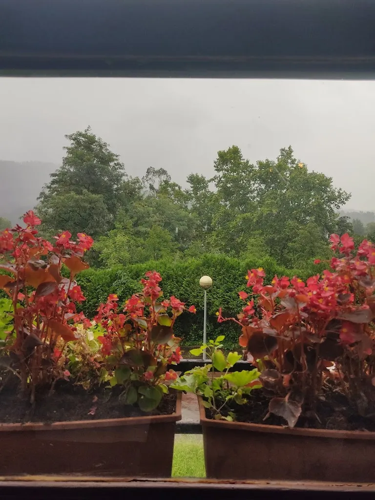 Dani_Restaurante Lemones_Lemoa_review