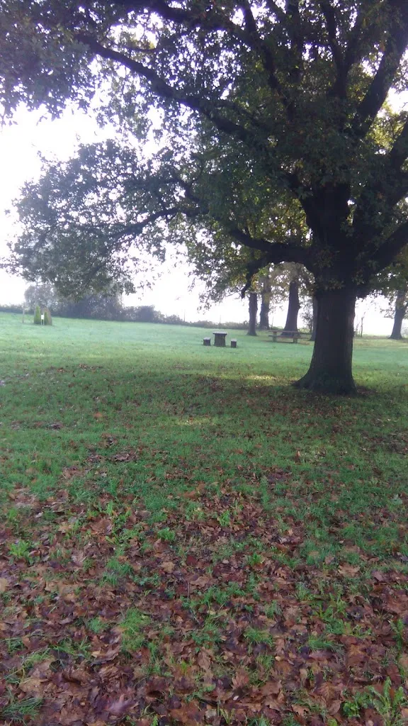 Andoni Etxeandia Agirre_Asador Sidrería Loiu_Loiu_recensione