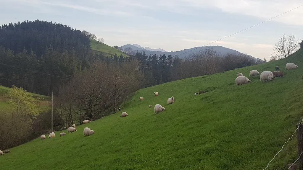 Restaurante Hambre_Mallabia_slider_image_2