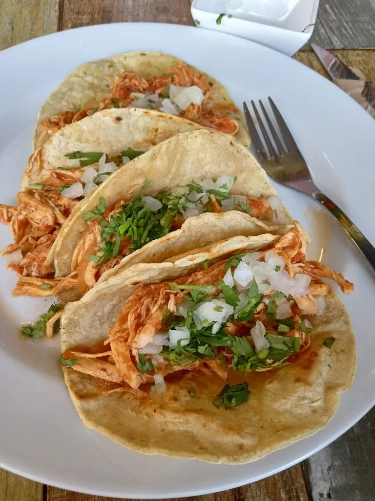 Megan Oremovich_A Catriña_Touro_review