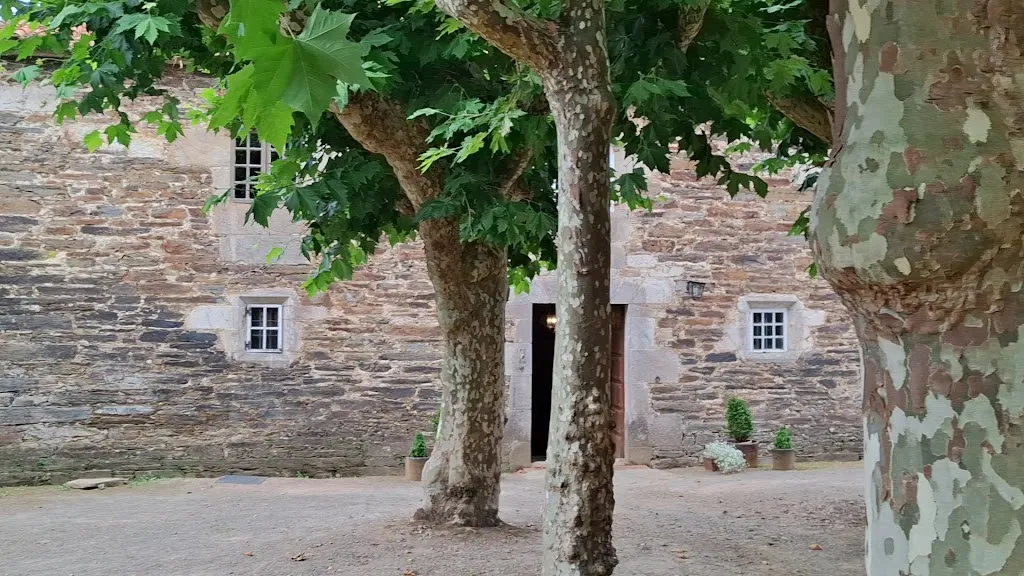 PAZO DE ANDEADE restaurant in Touro