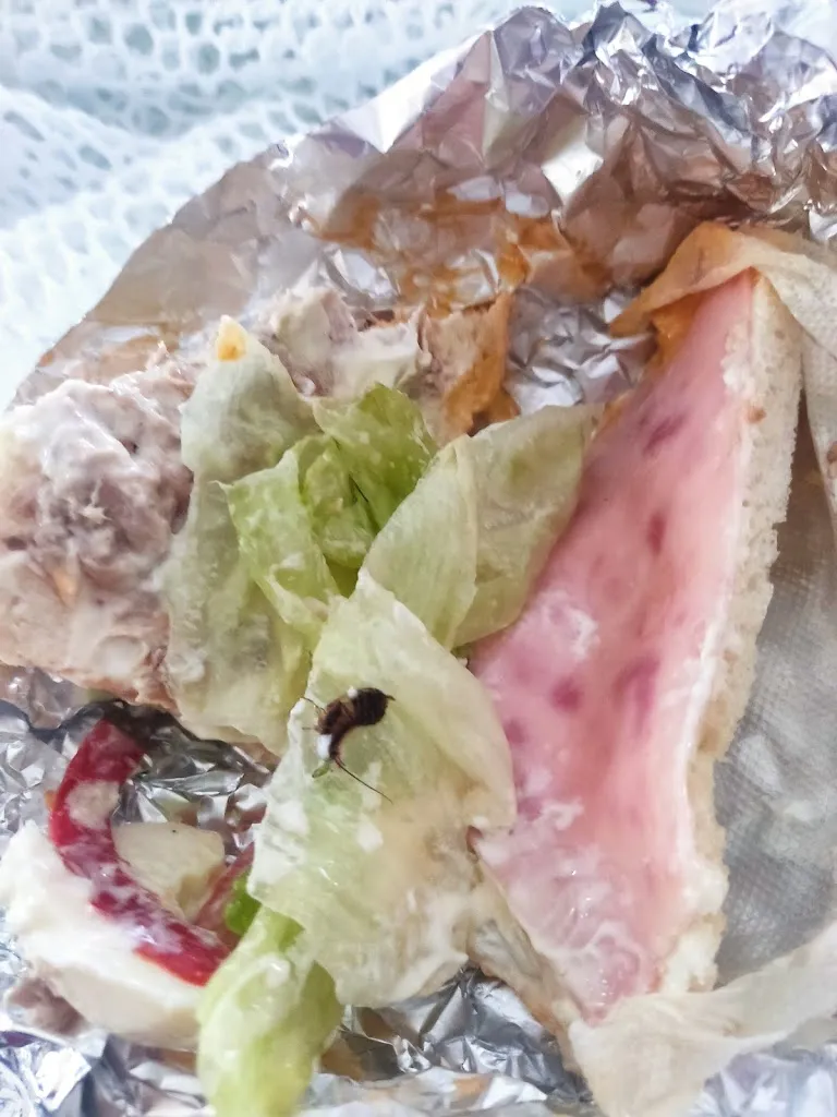 Menu_AlexandersBerria Leioa _Leioa_image_7