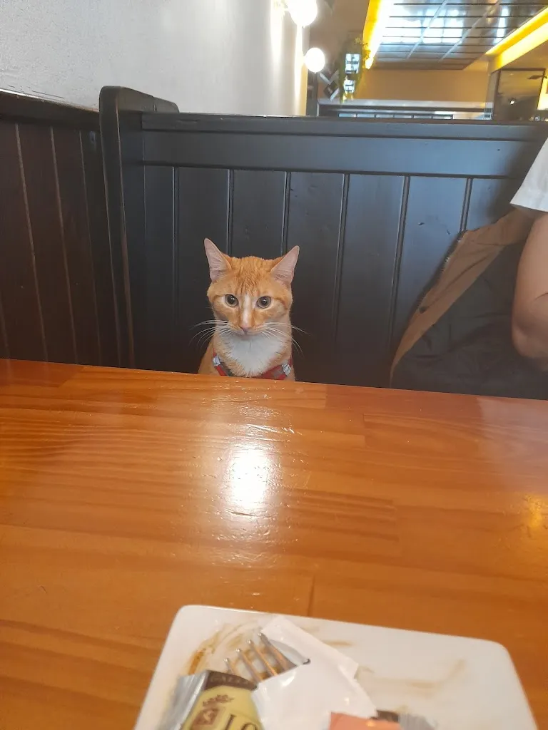 Menu_Haddock_Leioa_image_3