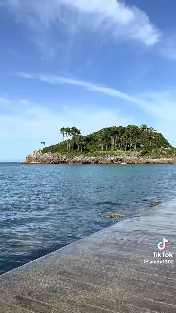 Jorge Becerra_Bar SERENGA_Lekeitio_avis