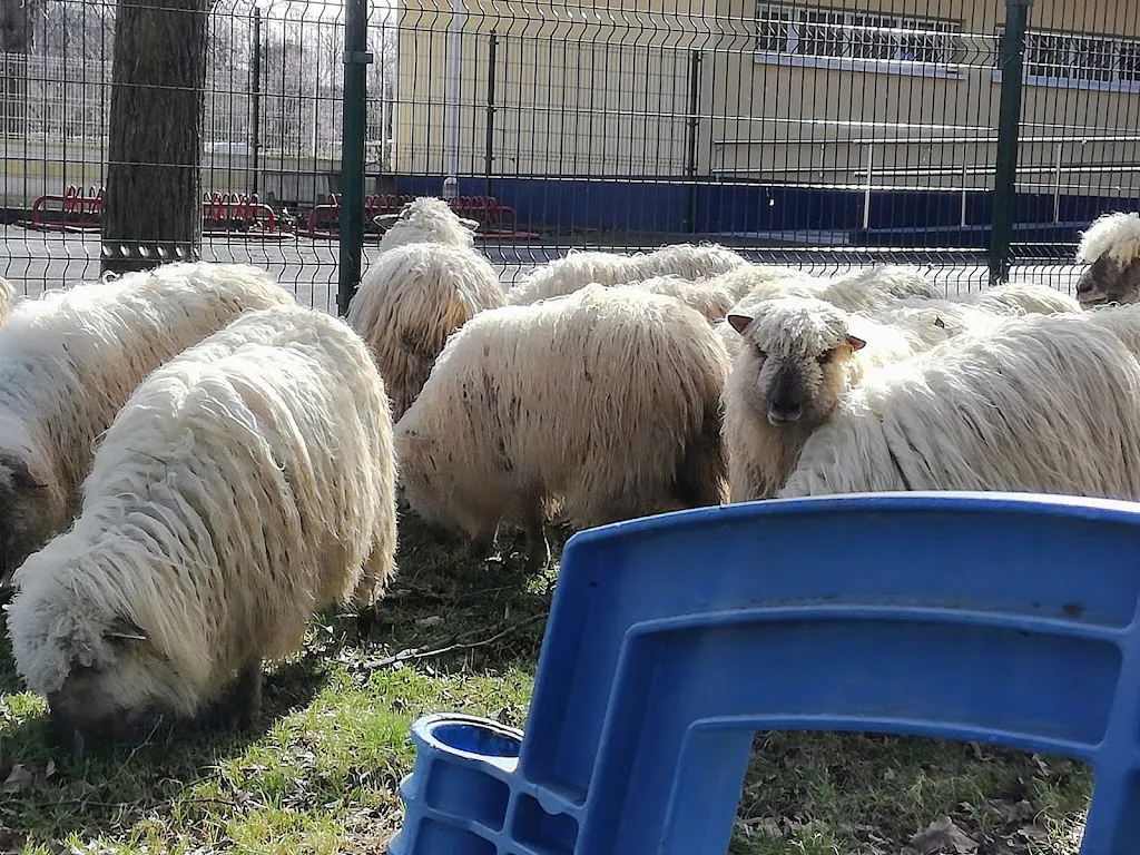 Txiti Taberna Jatetxea_Sopuerta_slider_image_3