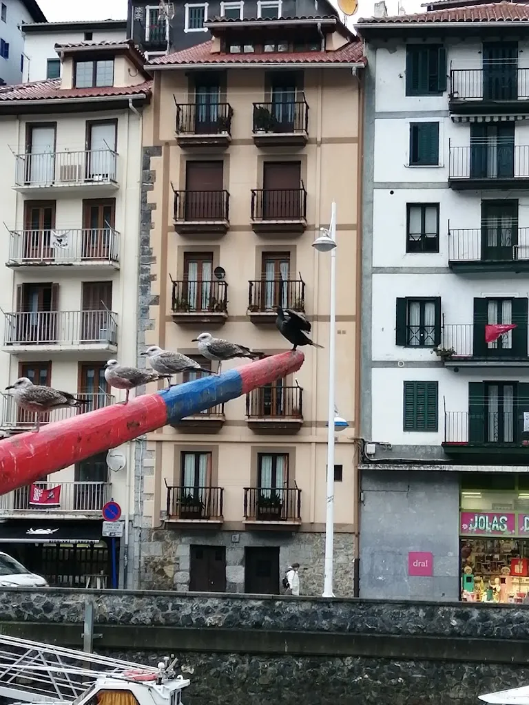 Alai_Ondarroa_slider_image_3