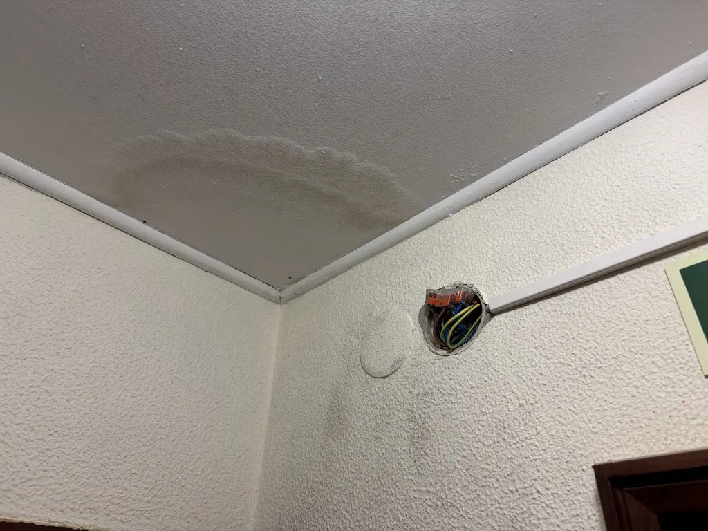 Dónal Mulligan_Hotel Imperial_Trucios-Turtzioz_review