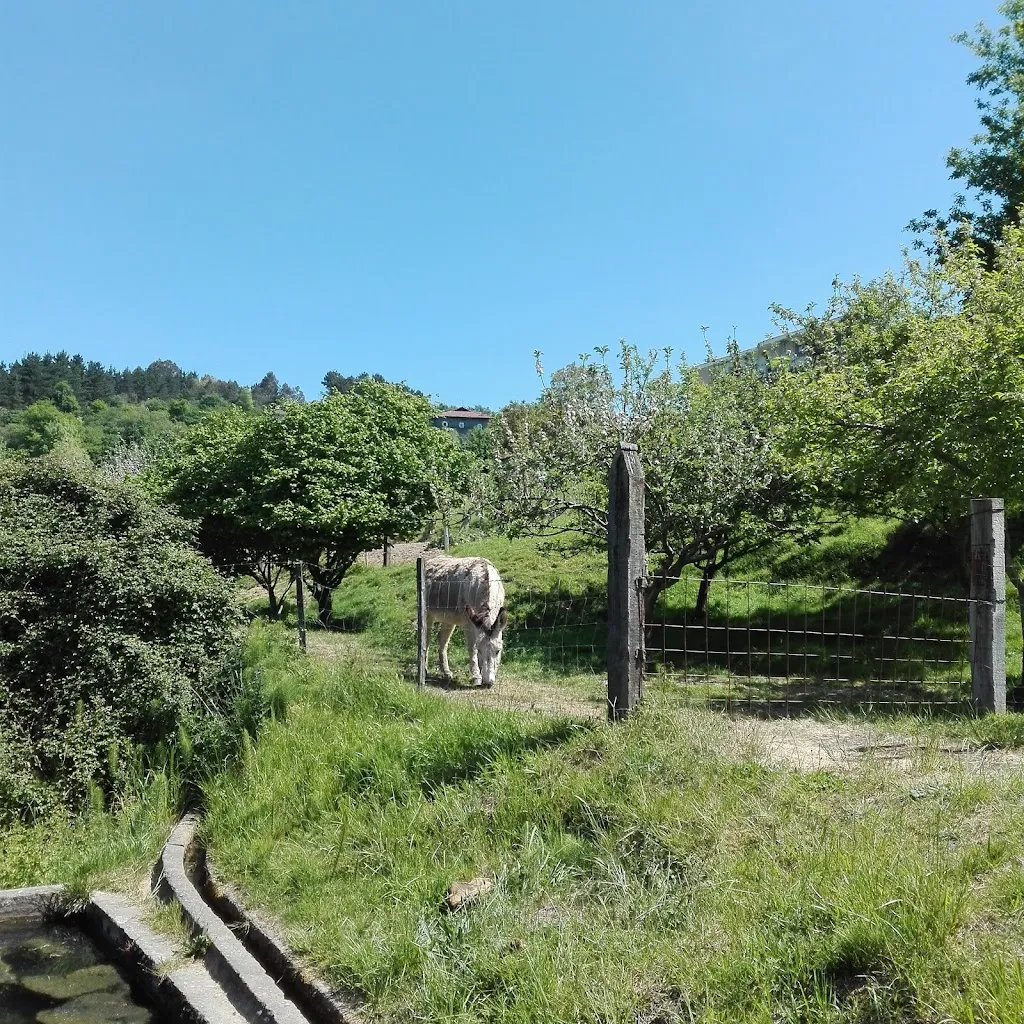 Unico Cafè & More restaurant in Casamicciola Terme