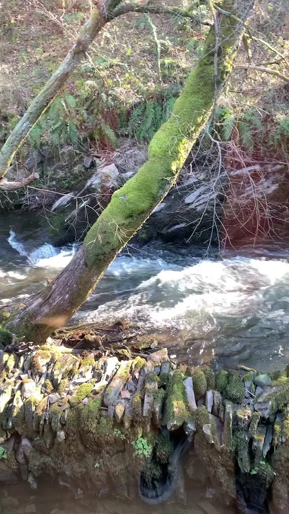 Mazo de Santa Comba_Santa Comba_slider_image_2