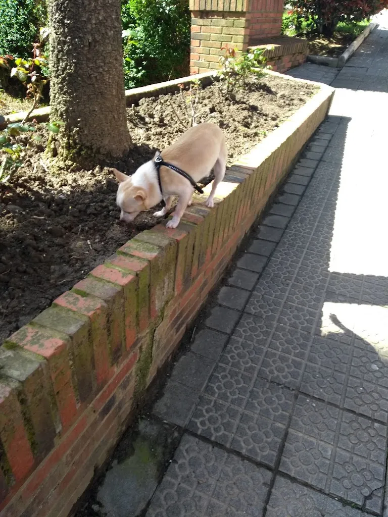 Barrica_Valle de Trápaga-Trapagaran_slider_image_2