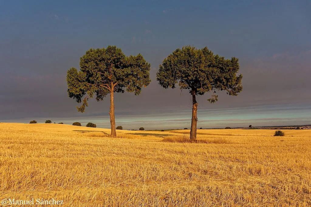 LA PLAZA_Arauzo de Torre_slider_image_2