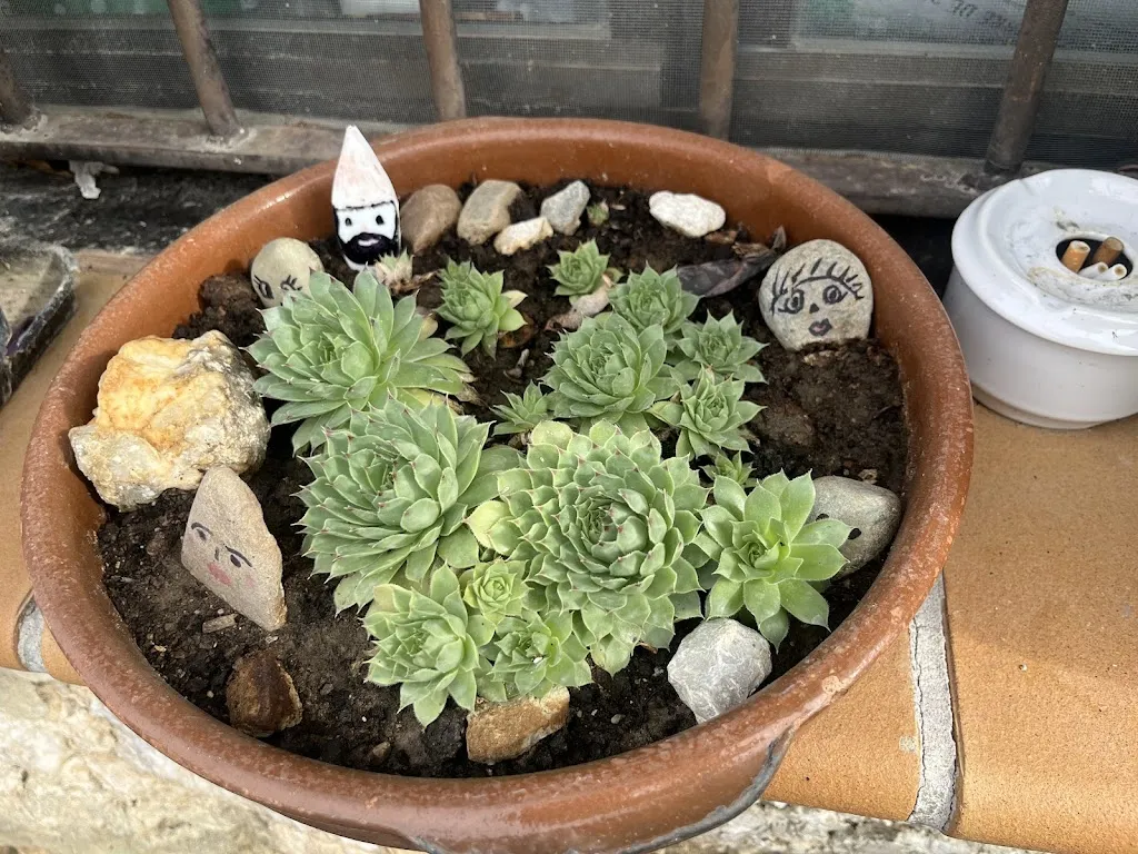 Menu_Bar Caléndula Tosantos_Alcocero de Mola_image_8