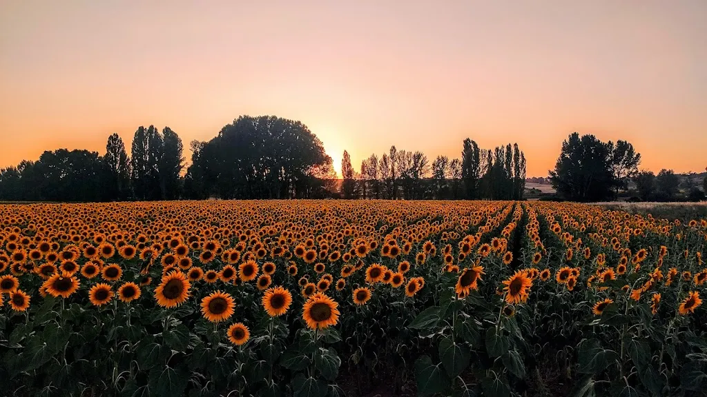 Arauzo de Salce_Arauzo de Salce_slider_image_1