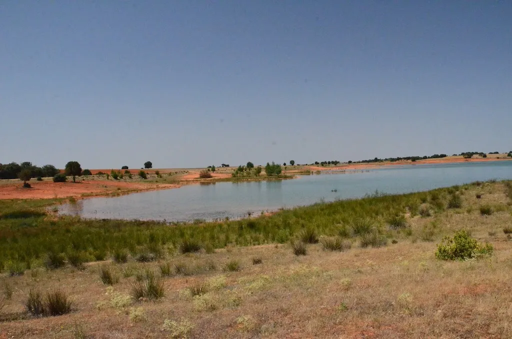 LA NENA VIAJERA_Balsa,Arauzo de Salce_Arauzo de Salce_review