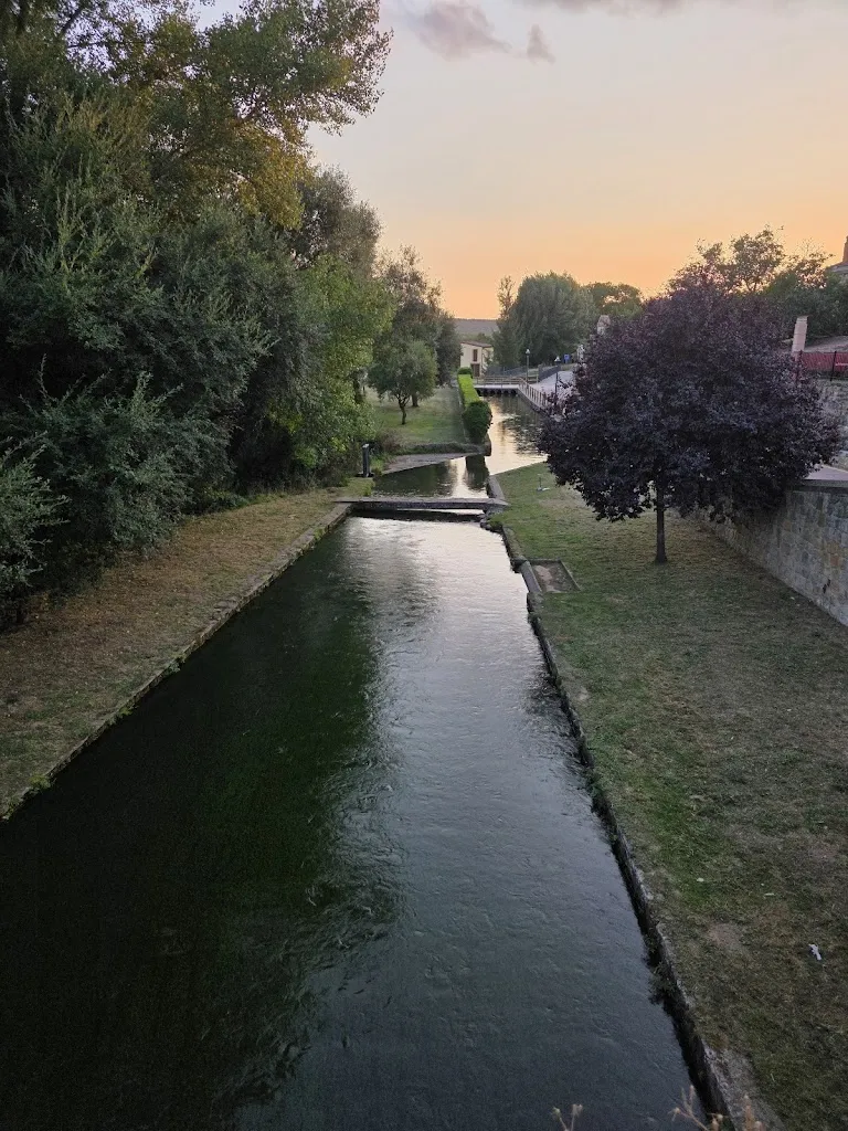 Chacho Canario_Taberna de Arlanzon_Arlanzón_review