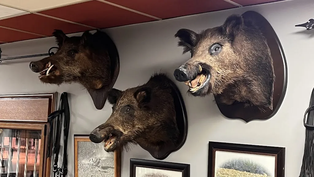 CB Gaines_La Posada el Cazador_Arenillas de Riopisuerga_review