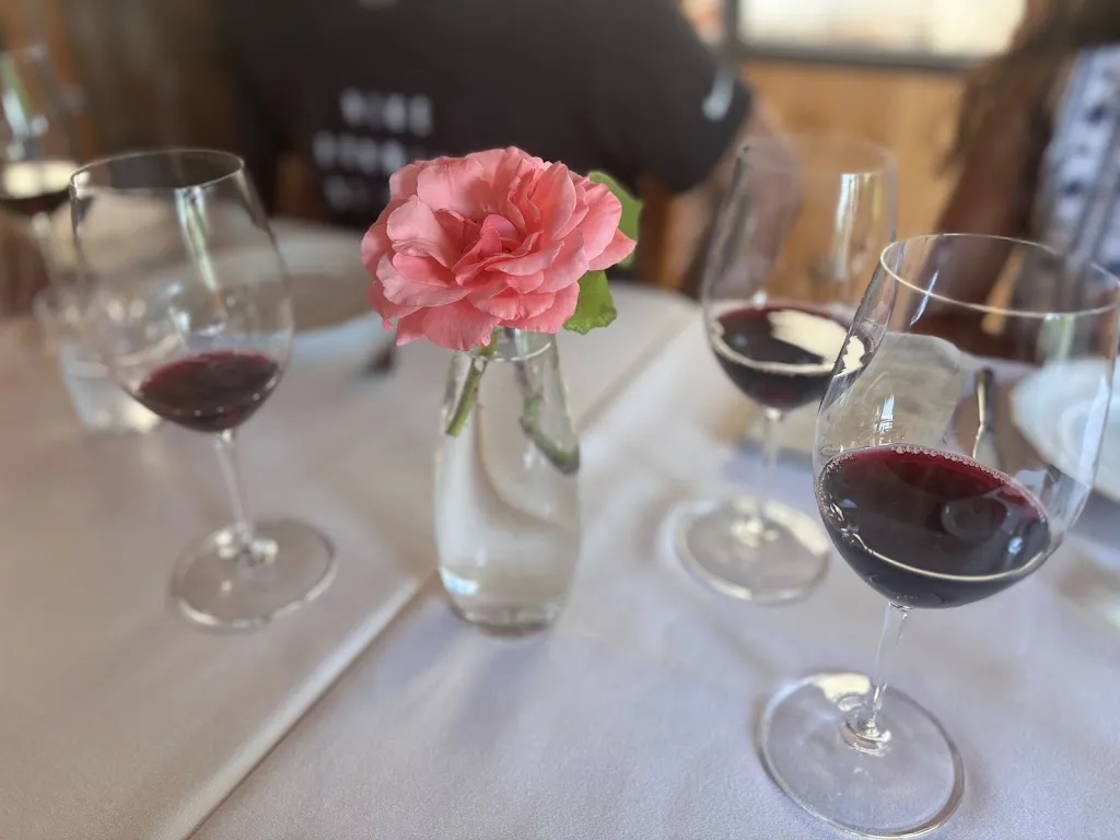 Angeles M_Gallo Guindon_Berlangas de Roa_review