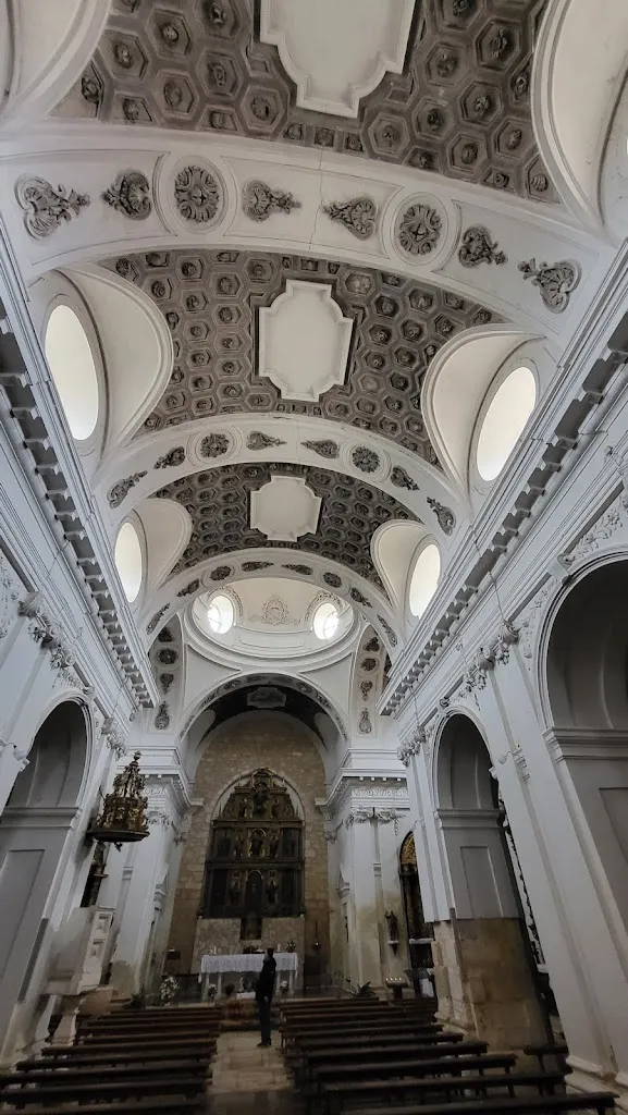 Raúl Míguez Bailo_Gallo Guindon_Berlangas de Roa_review