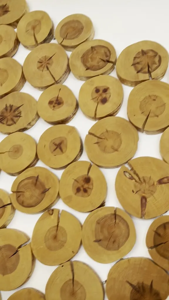 El 51 del Sol_Aranda de Duero_slider_image_2