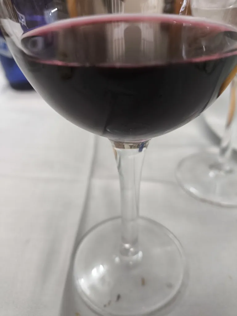 José Alberto María Maza_Asador Rafael Corrales_Aranda de Duero_avis